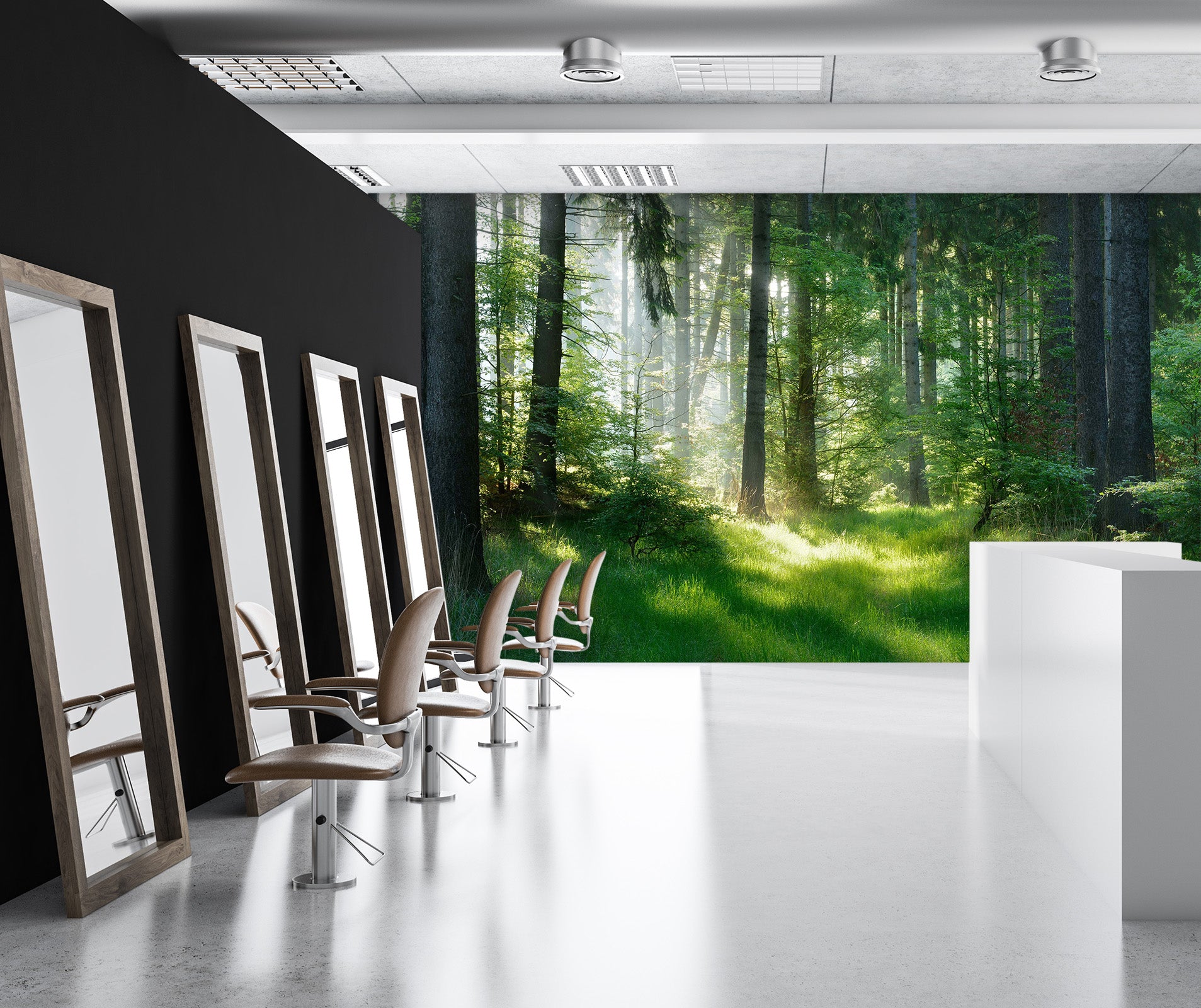 3D Sunny Forest 392 Wall Murals