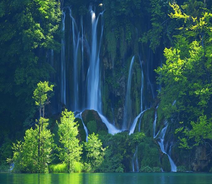 3D Deep Forest Pouring Water 44 Wallpaper AJ Wallpaper 