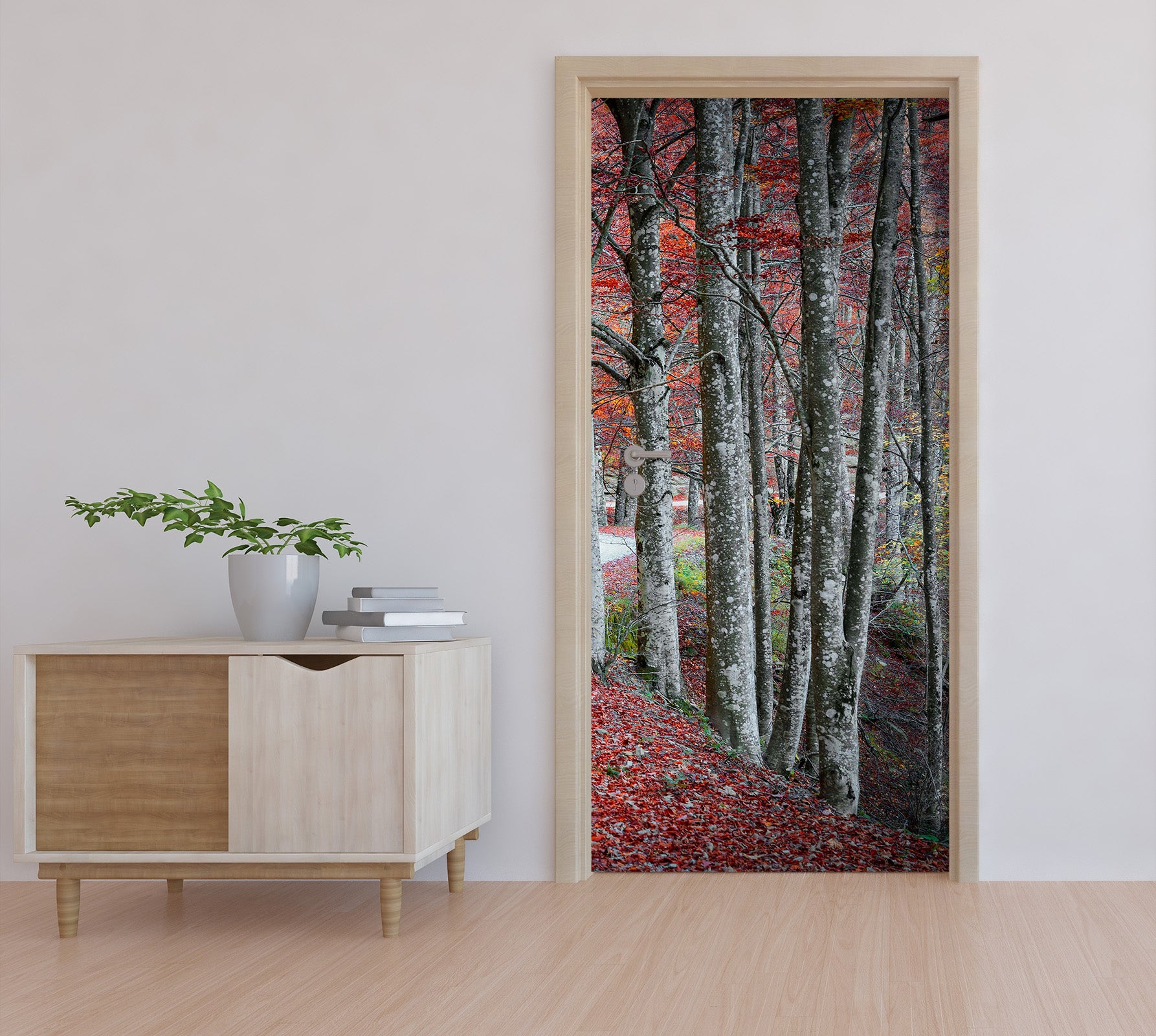 3D Trees Woods 11997 Marco Carmassi Door Mural