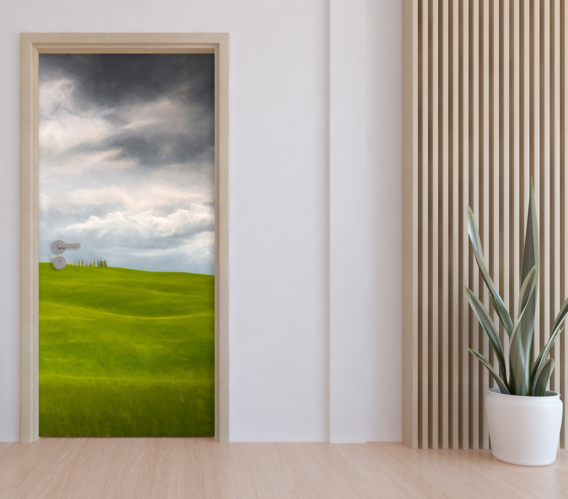 3D Clouds Grassland 114118 Marco Carmassi Door Mural