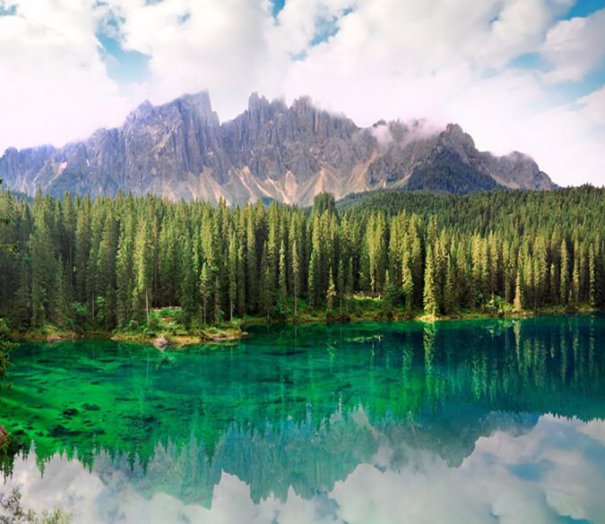 3D Tropical Green Lake 472 Wallpaper AJ Wallpaper 