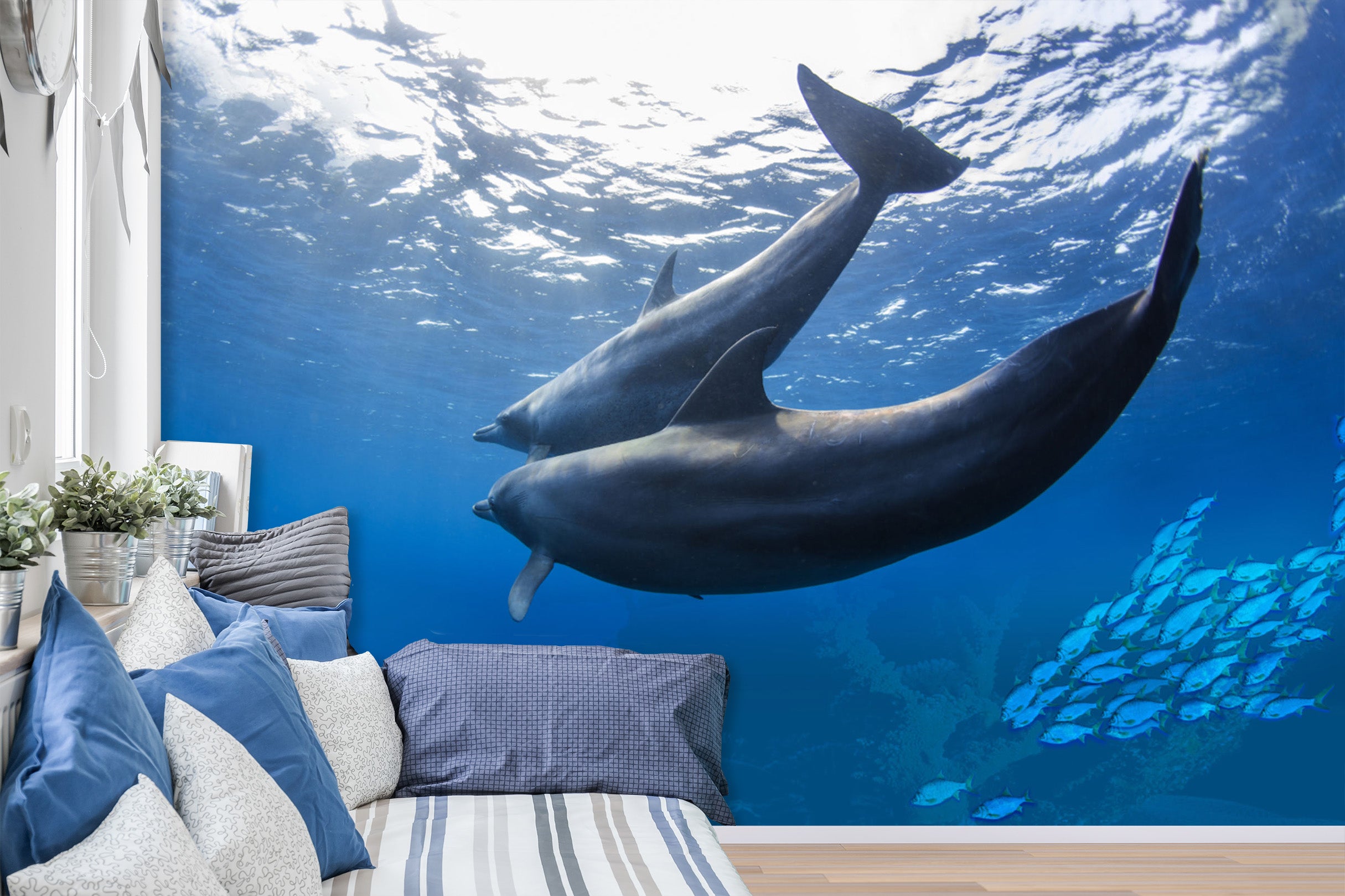 3D Undersea Dolphin 1431 Wall Murals