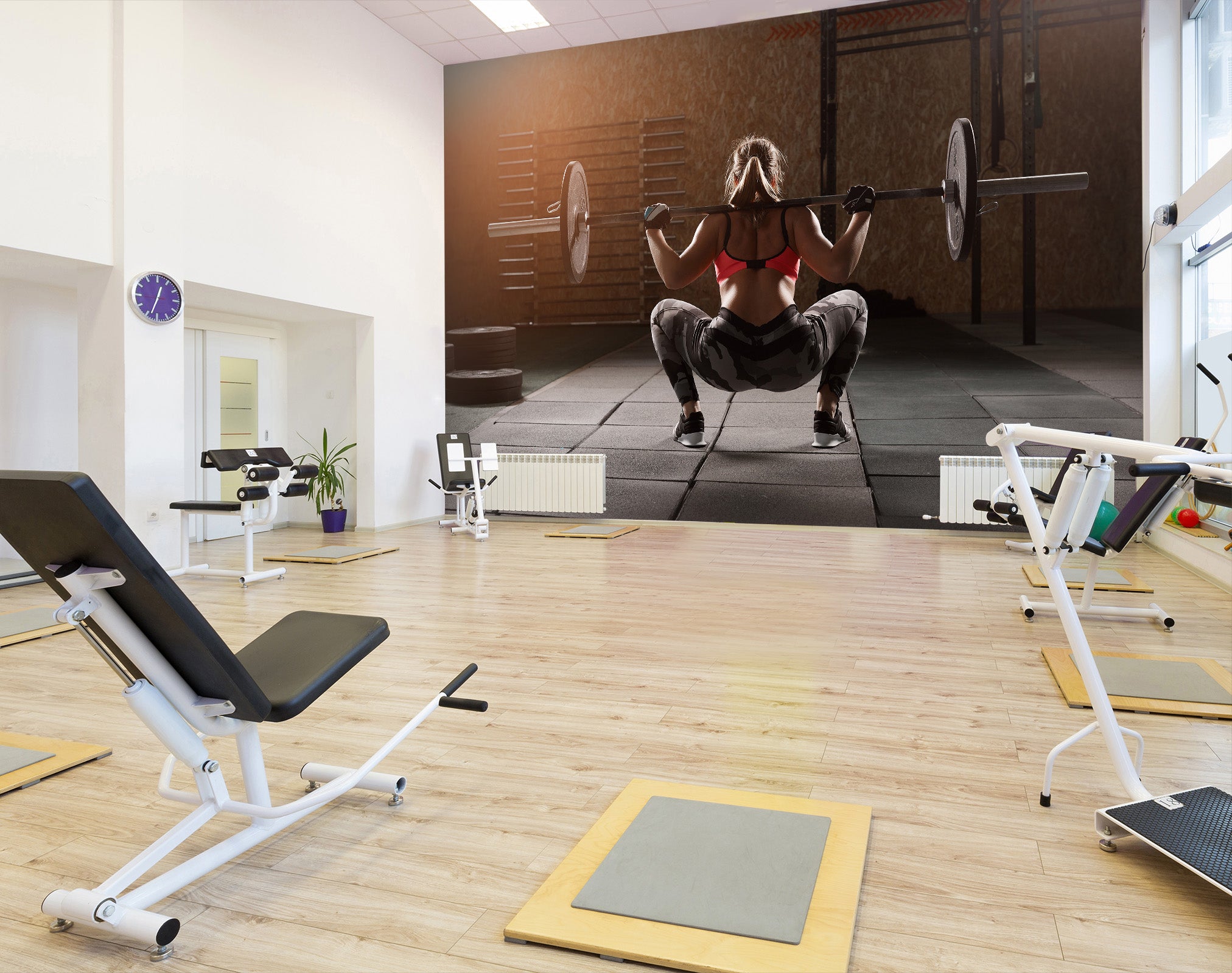 3D Dumbbell Squat 230 Wall Murals