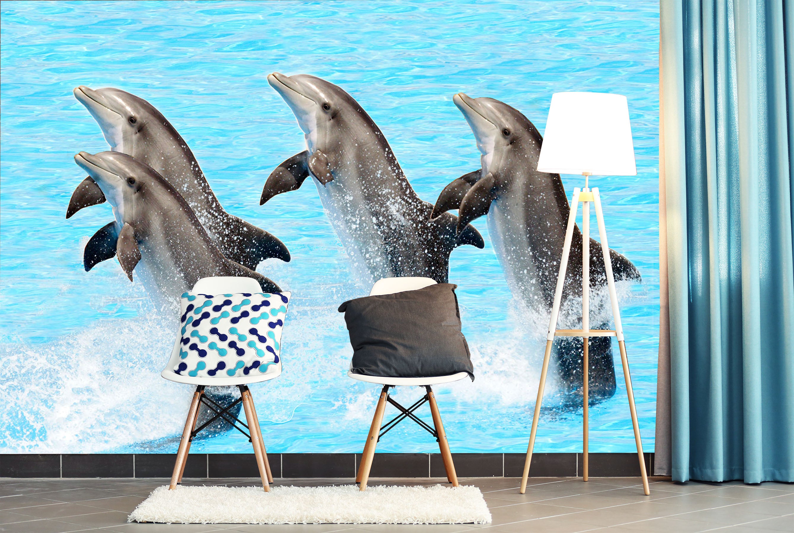 3D Dolphin Show 119 Wall Murals