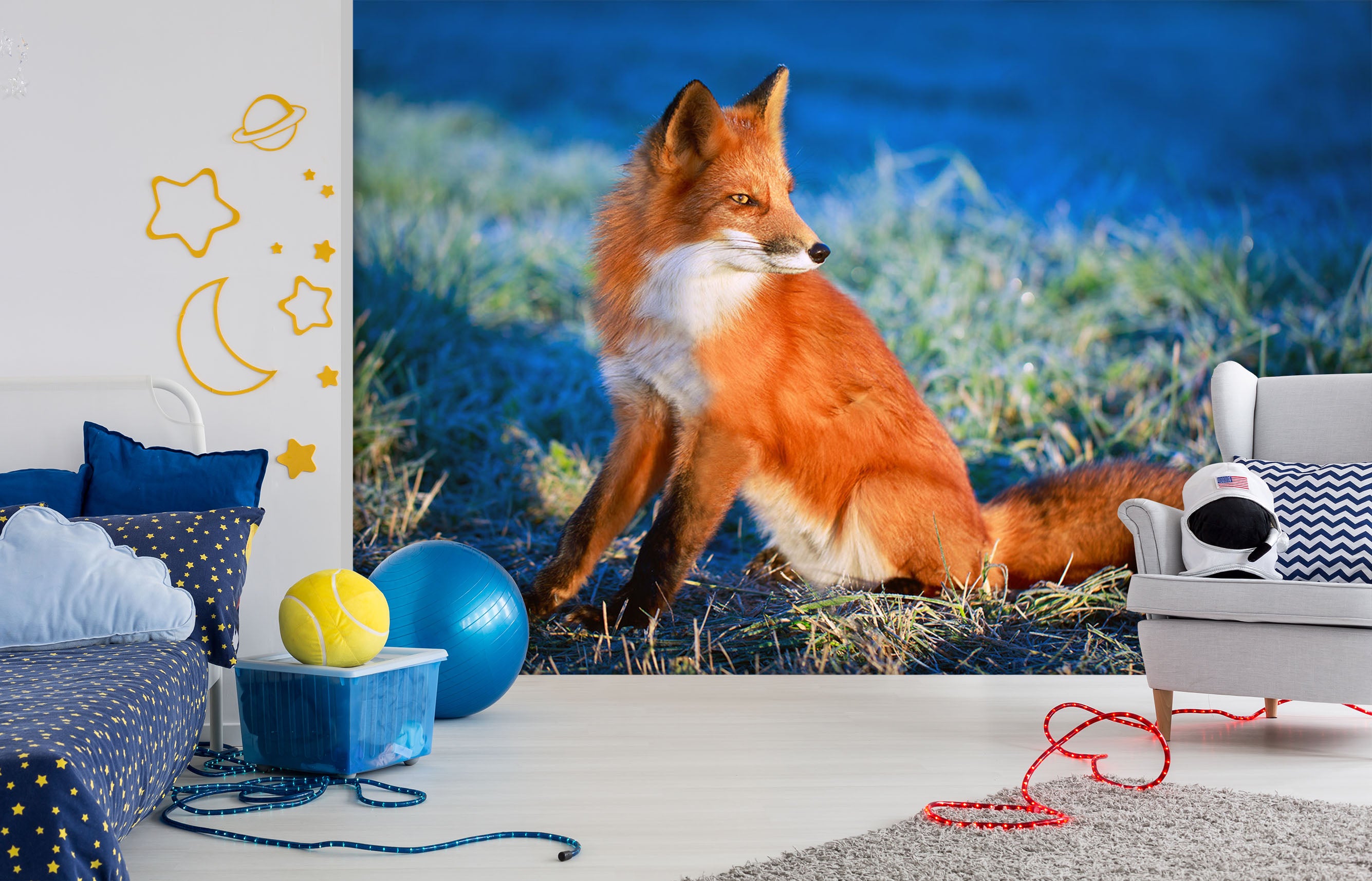 3D Orange Fox 101 Wall Murals