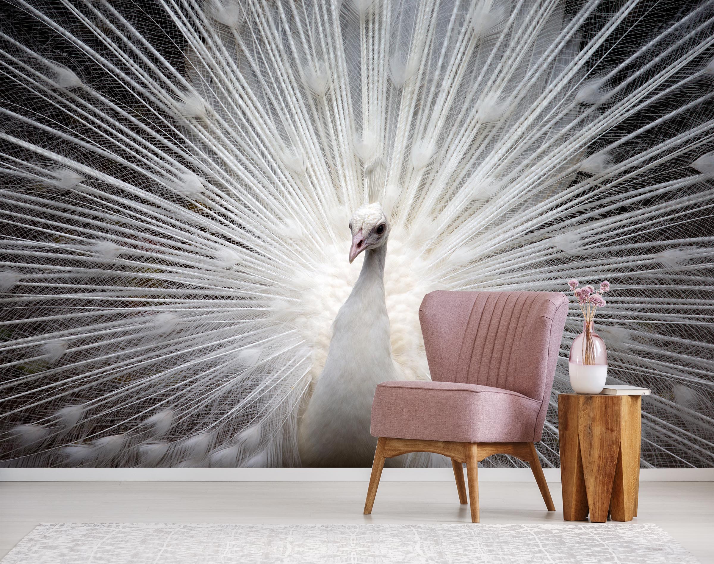 3D White Peacock 408 Wall Murals