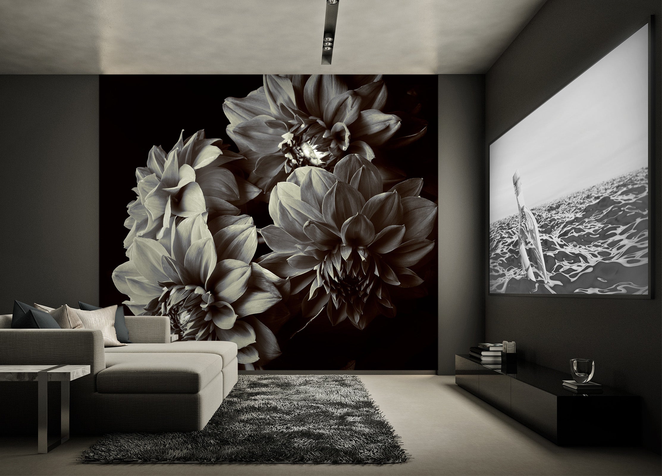 3D Black Ash Flowers 57233 Wall Murals