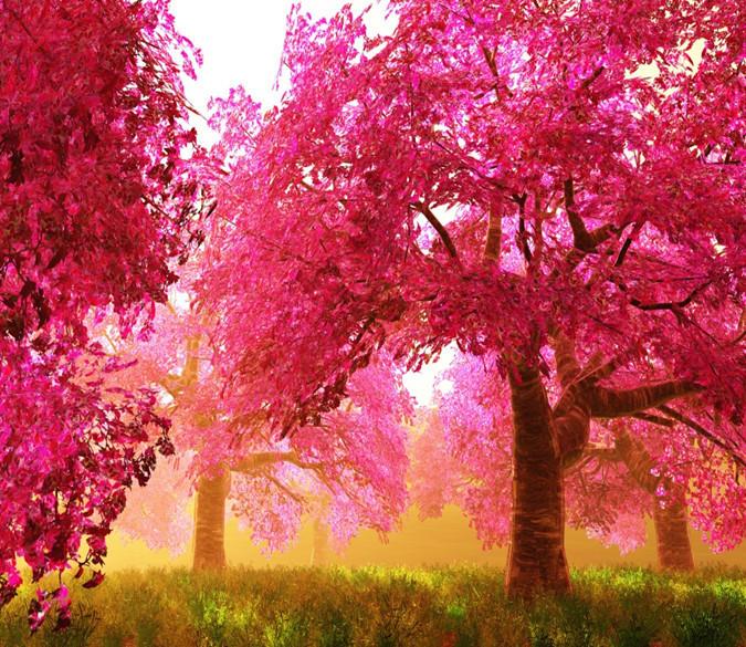 3D Pink Cherry Tree 728 Wallpaper AJ Wallpaper 