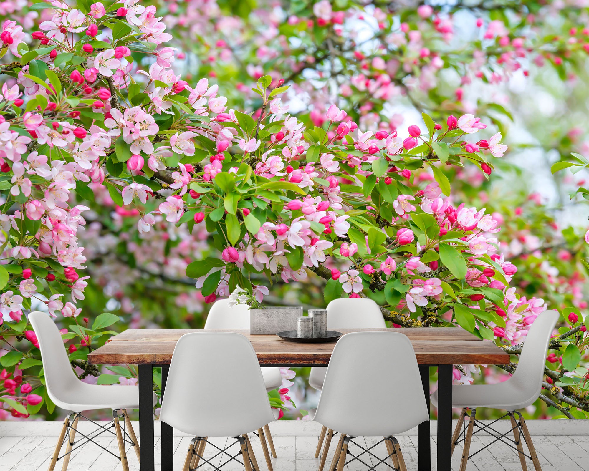 3D Spring Flowers 6169 Assaf Frank Wall Mural Wall Murals