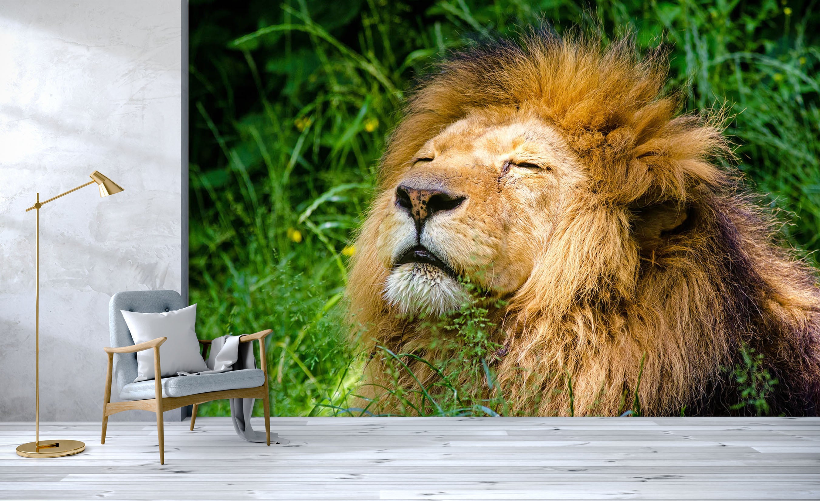 3D Big Lion 129 Wall Murals