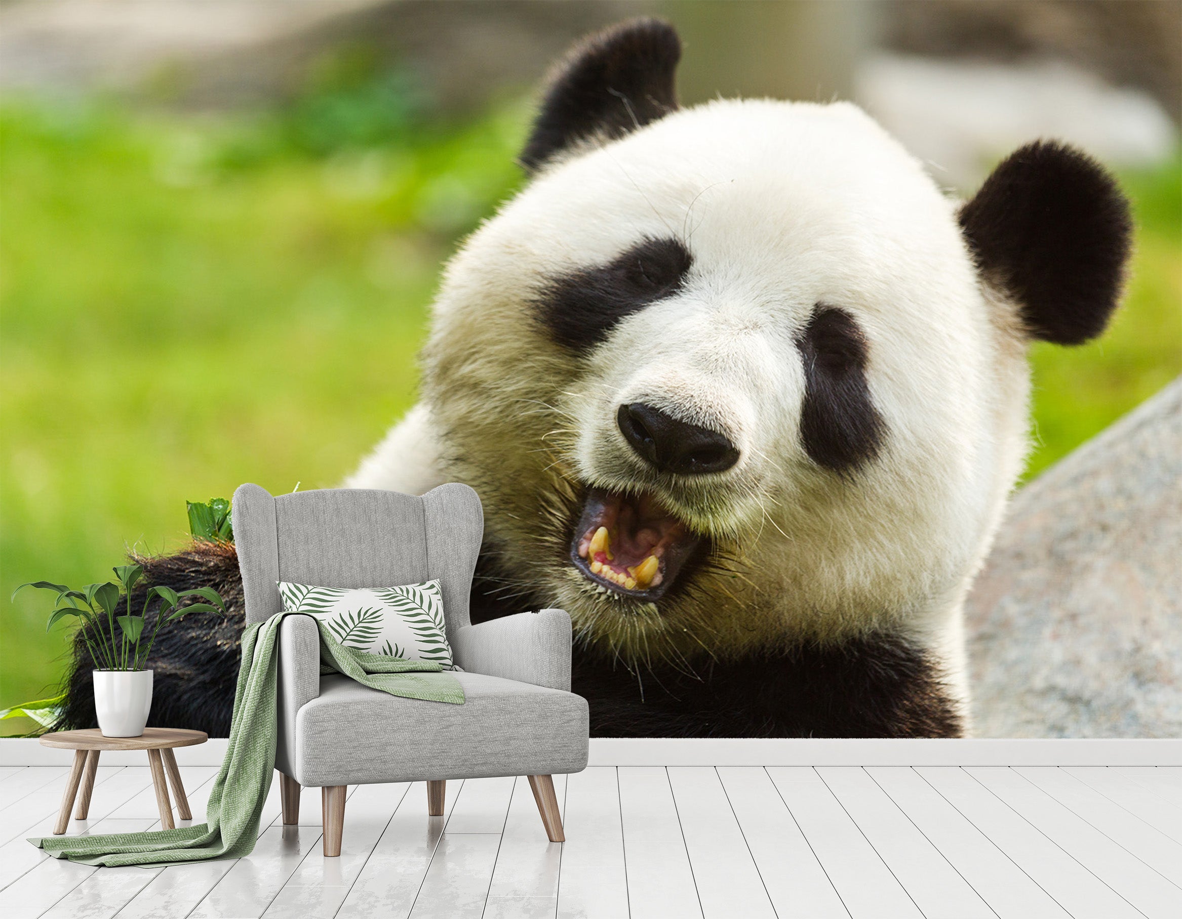 3D Cute Panda 312 Wall Murals