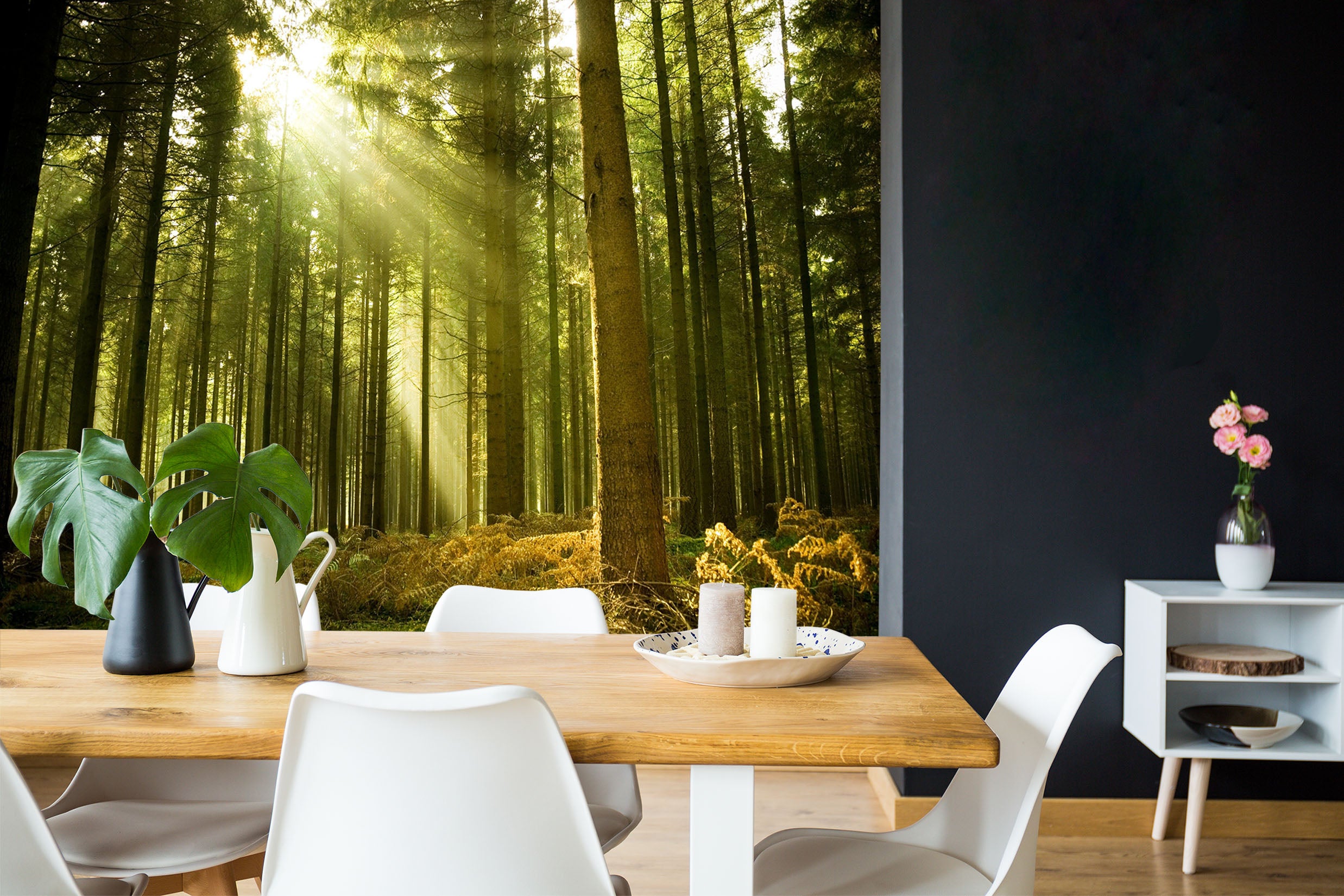 3D Forest Sunlight 119 Wall Murals