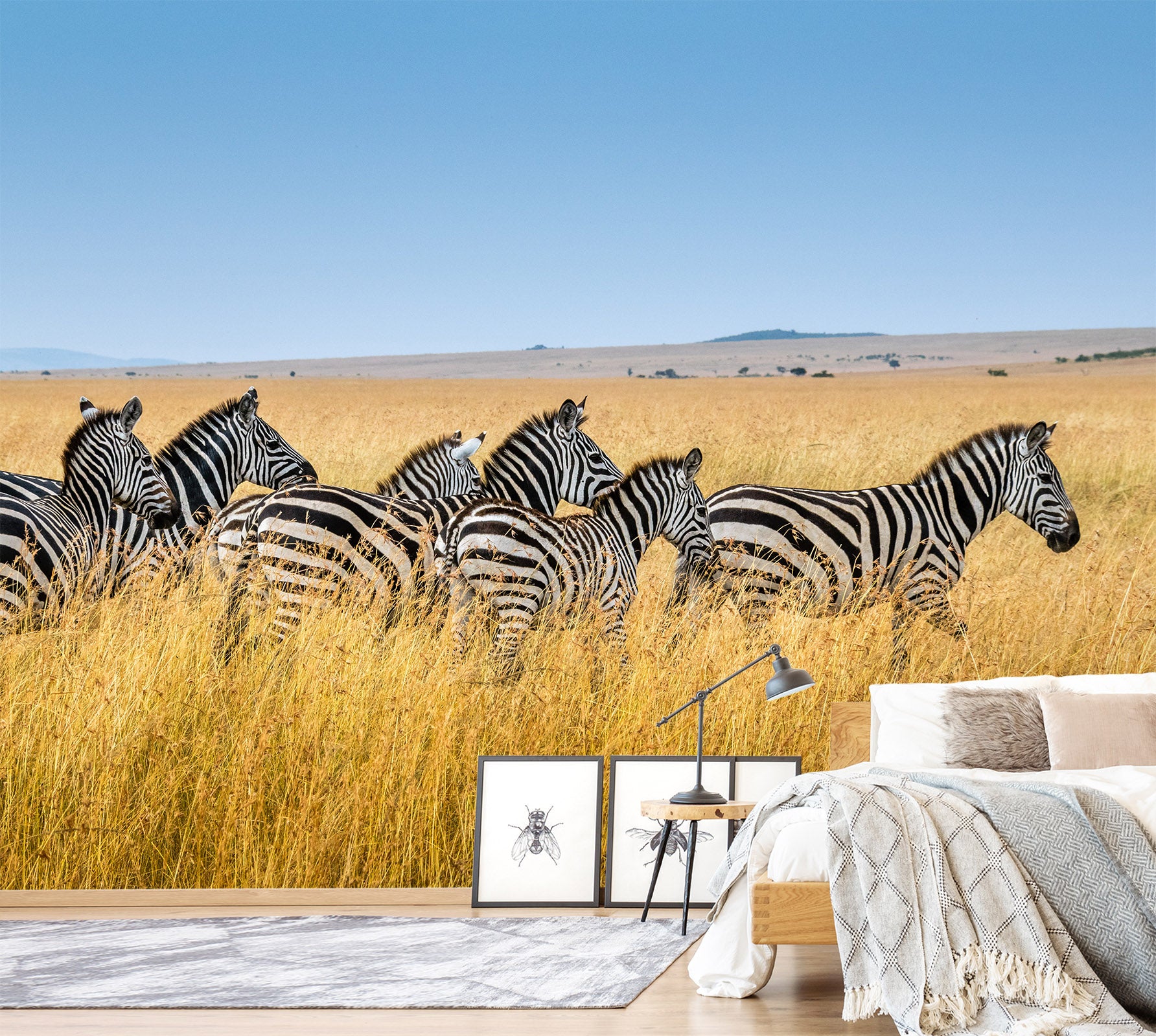 3D Grassland Zebra 420 Wall Murals