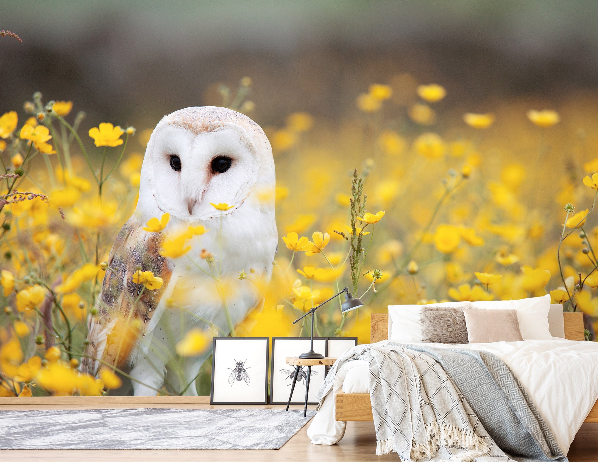 3D White Owl 435 Wall Murals