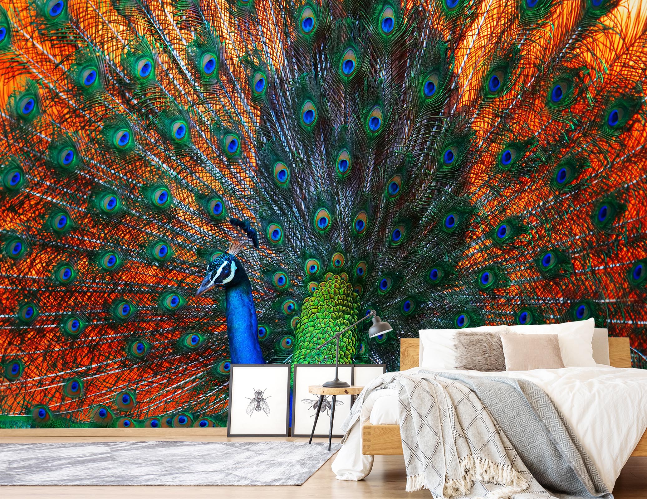 3D Red Peacock 441 Wall Murals