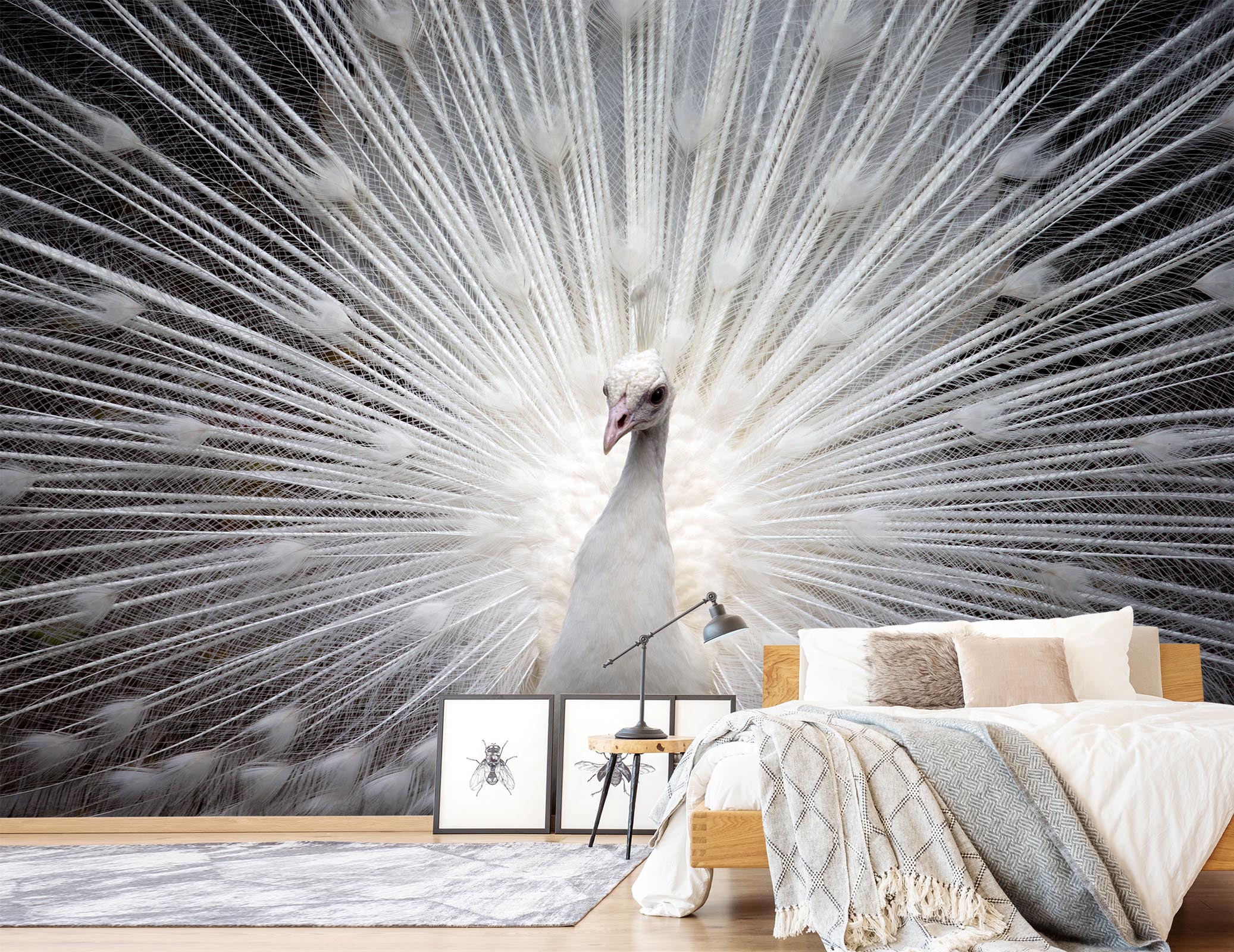 3D White Peacock 408 Wall Murals