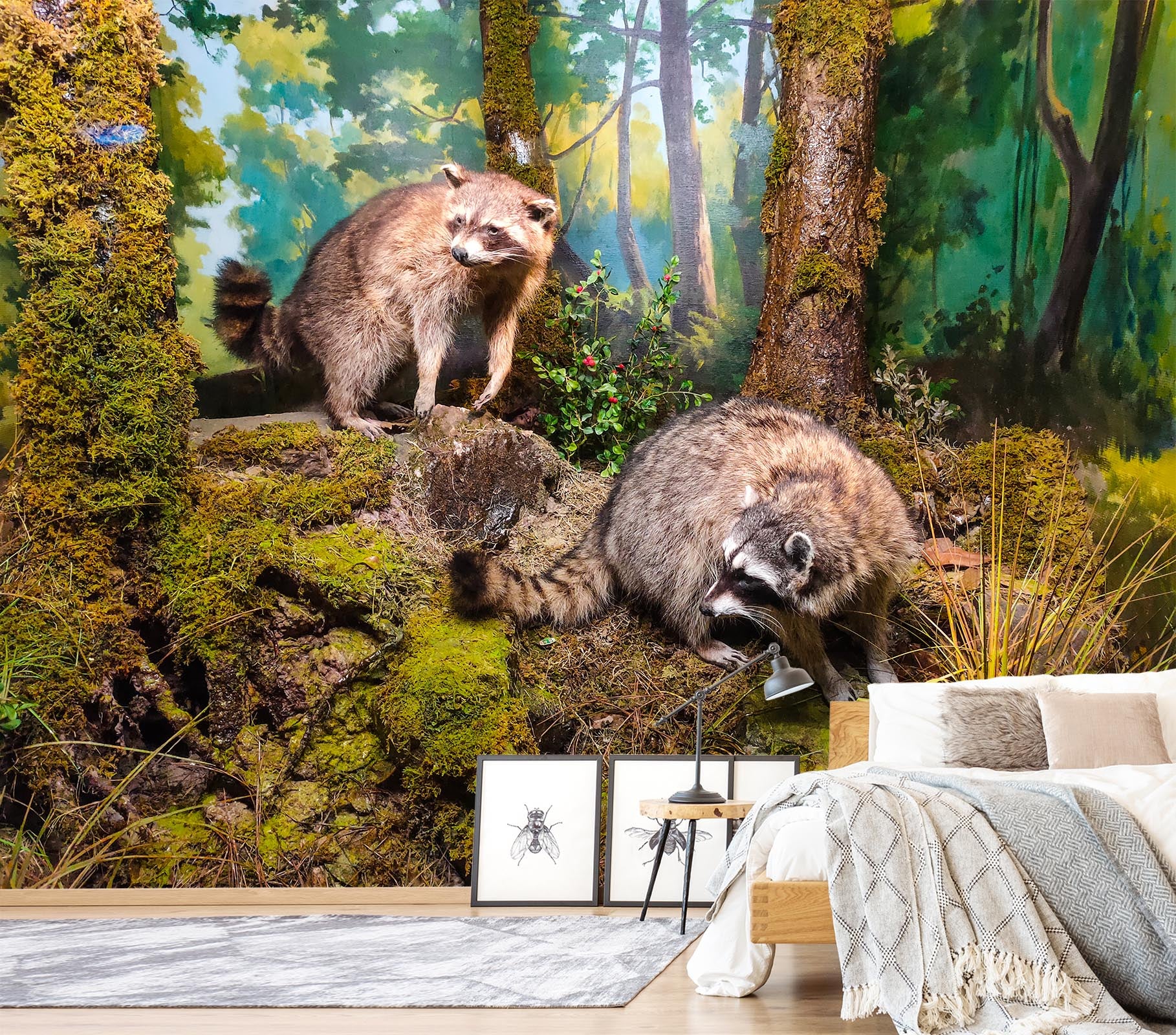 3D Raccoon Forest 428 Wall Murals