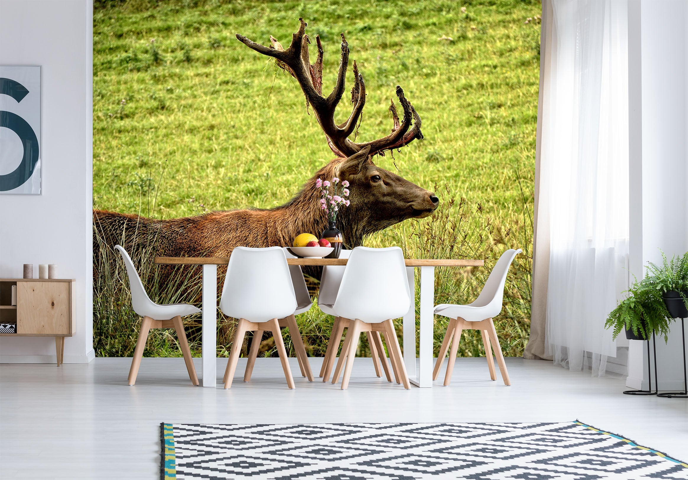 3D Pasture Deer 250 Wall Murals